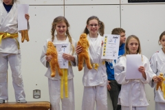 Nikolausturnier Friesenhofen 03.12.2011