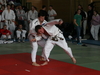 fs_207