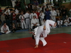 fs_219