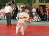 fs_271