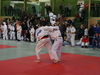 fs_334