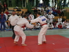fs_336