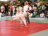 fs_355