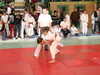 fs_366