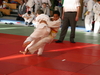 fs_380