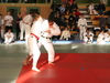 fs_388