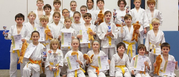 Judo- Nachwuchs erfolgreich in Friesenhofen