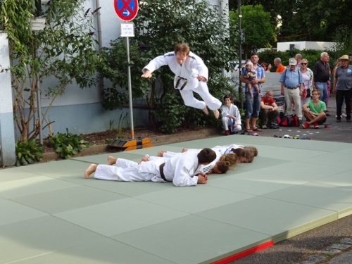 Aufführung beim Neckarfest