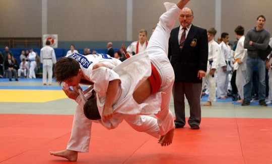 12. internationaler Zwing Cup in Landau (Pfalz)