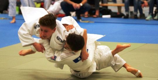 13. Internationaler Zwing Cup