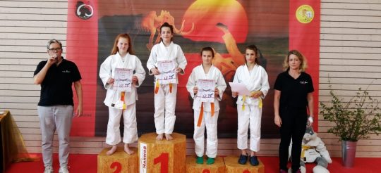 Gürtelfarbenturnier Steinheim