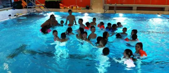 Judobären im Schwimmbad