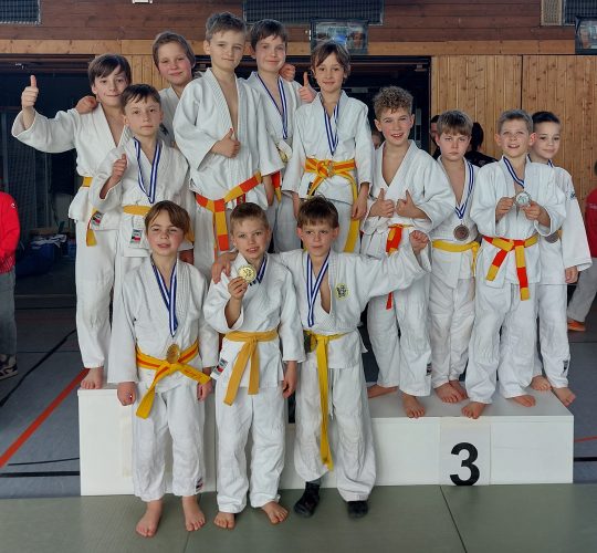 Bezirks-EM u11: 7 x Gold, 9 x Silber, 5 x Bronze